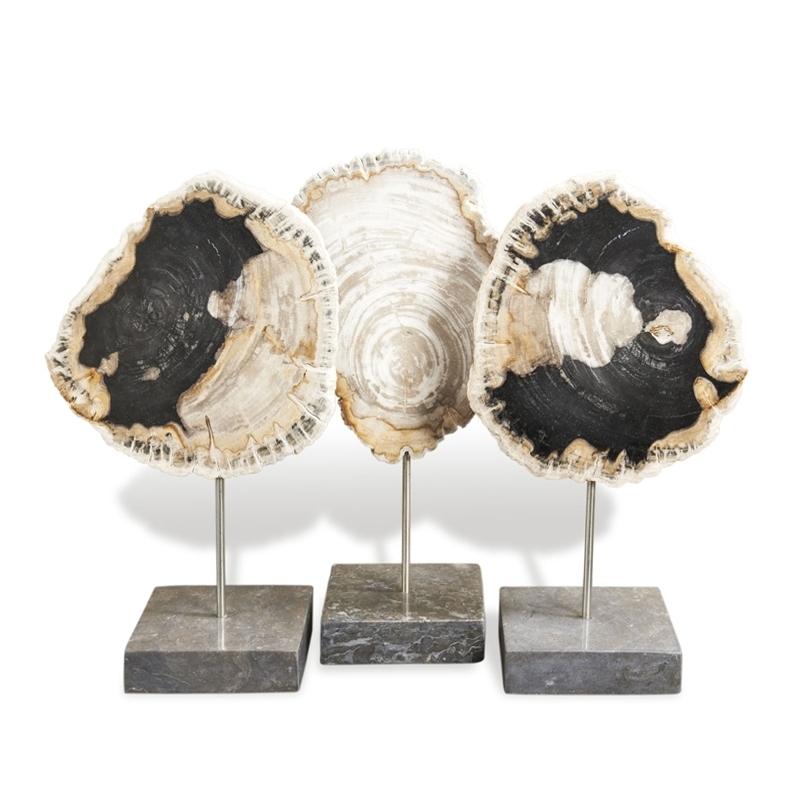 black-petrified-wood-marblestand-front1