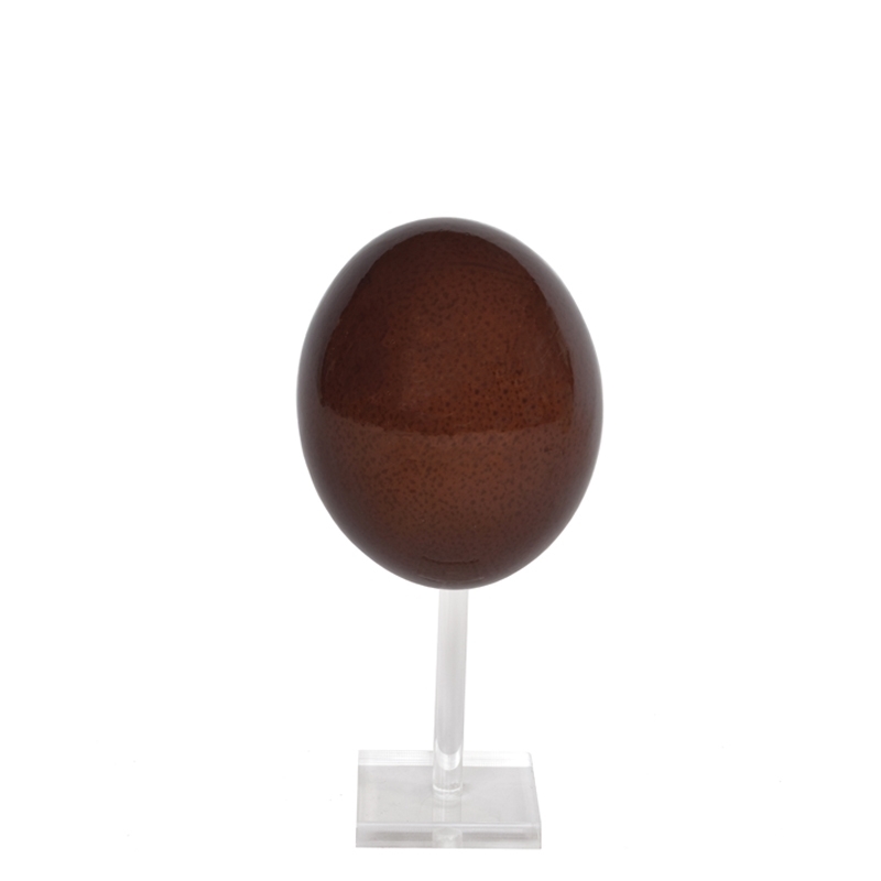 ostrich-egg-onstand-brown-front1