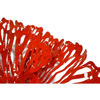 flower-wall-art-coral-small-detail1