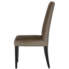 areca-dining-side-chair-side1