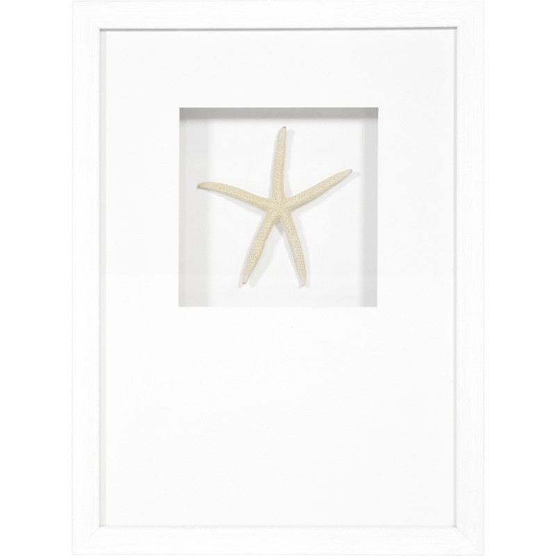 starfish-front1
