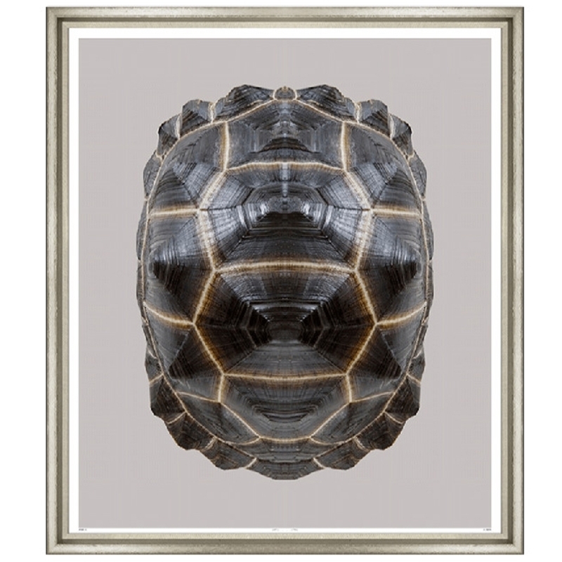 tortoise-iii-front1