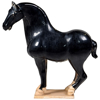 black-stallion-side1