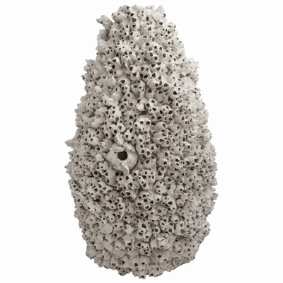barnacle-vase-medium-front1