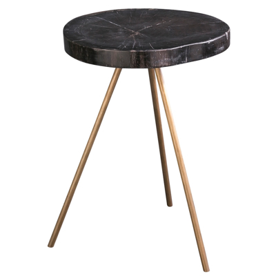 Picture of Lincoln Petrified Wood Table