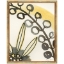natural-forms-19-front1