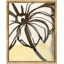natural-forms-24-front1