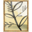 natural-forms-7-front1
