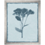 wild-meadow-flowers-1-front1