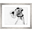 valerie-davide-dogs-8-front1