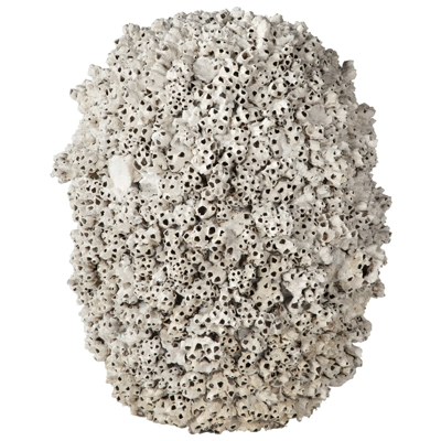 barnacle-vase-large-front1