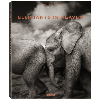 elephants-in-heaven-book-front1