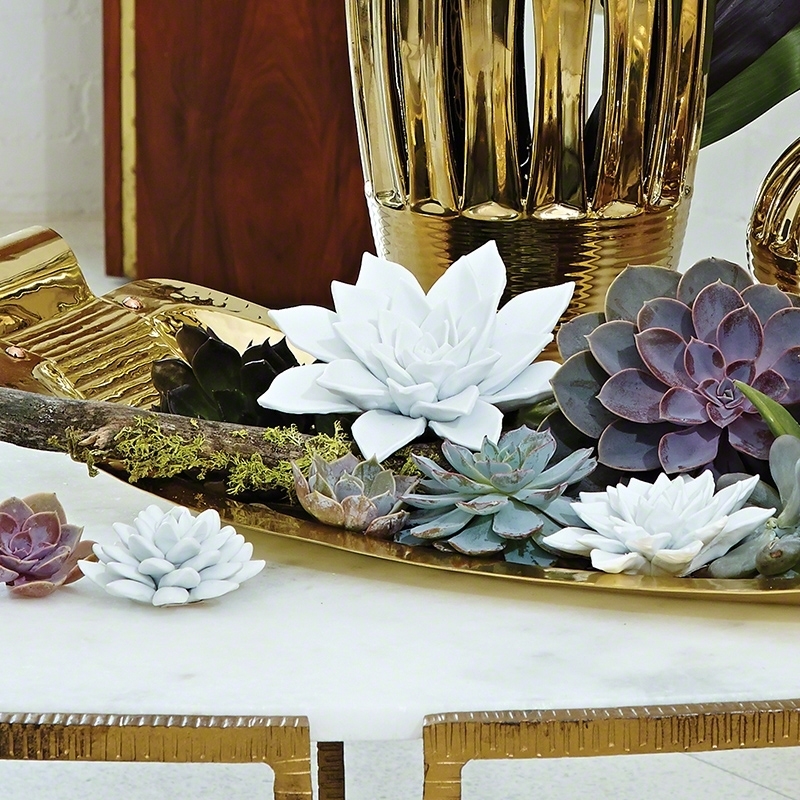 bisque-succulent-white-small-roomshot1