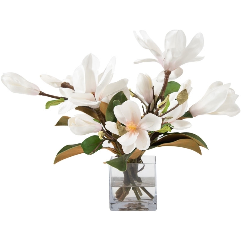 magnolia-with-foliage-cube-front1