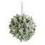 glittered-mistletoe-ball-6"-front1