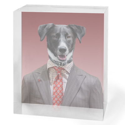 dog-suit-portrait-in-acrylic-34-1