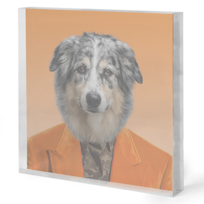 dog-leizure-suit-portrait-in-acrylic-34-1