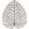 giant-leaf-wall-decor-front1