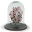 barnacle-cloche-front1