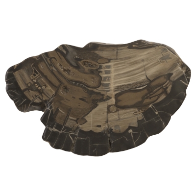 cast-petrified-wall-tile-large-front1 