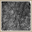 tree-slices-3-front1