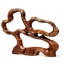 Burstyn-Teak-Root-Front1