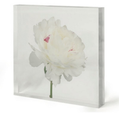 White-Flower-In-Acrylic-Front1