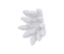Compactum-Stone-Succulent-34