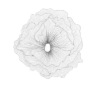 Poppy-Flower-Wall-Art- Silver-Black-Front1