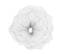 Poppy-Flower-Wall-Art- Silver-Black-Front1