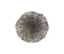 Lotus-Wall-Art-Small-Silver-Black-Front1