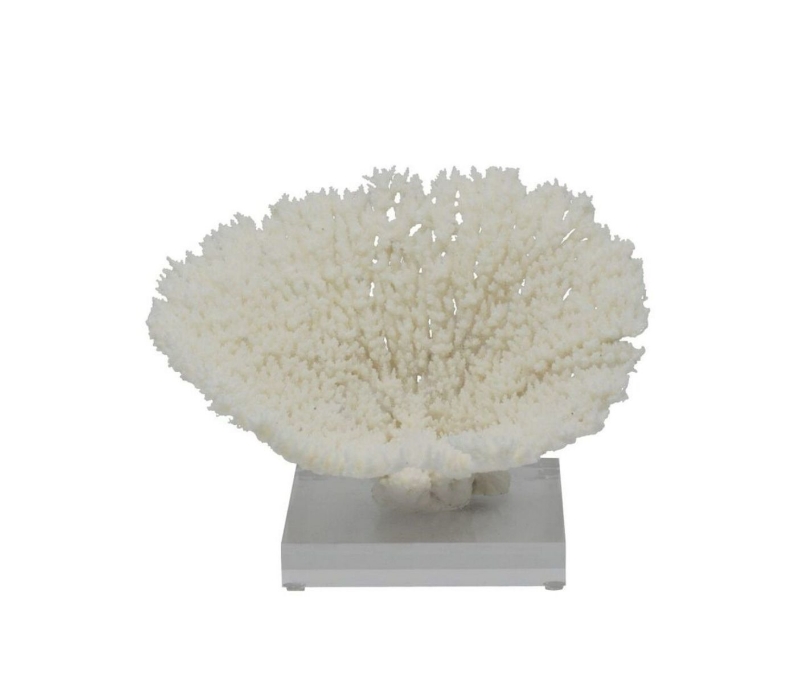 Coral-On-Acrylic-White-Large-Front1