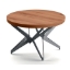 The-Big-Round-Natural-Ancient-Oak-34