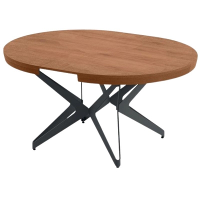 The-Big-Round-Natural-Ancient-Oak-34-2