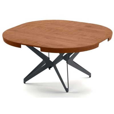 The-Big-Round-Natural-Ancient-Oak-34-3