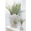 Anemone-Vase-White-Roomshot1