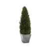 Cypress-Tree-Topiary-Medium-Front1