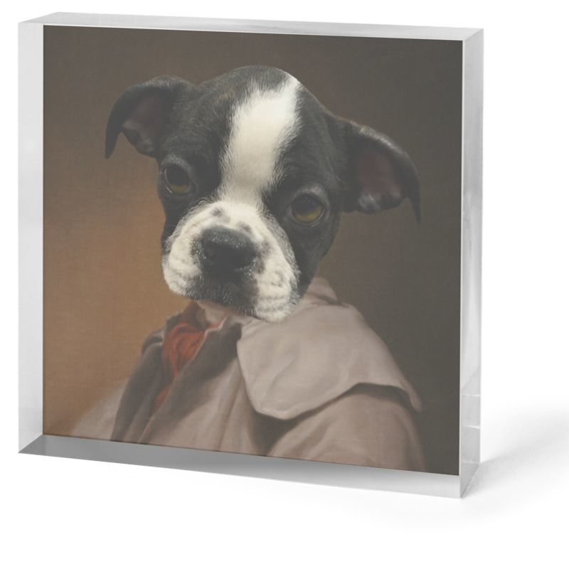  Dog-Portrait-on-Acrylic-Medium-34