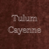 Nido-Swivel-Chair-Tulum-Cayenne-Swatch1