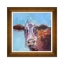 Dairy-Cow-Front1