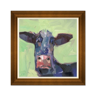 Curious-Cow-Front1