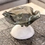 Orfeo-Glass-Bowl-34