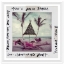 Palm-Beach-Idyll-Slim-Aaron-Front1
