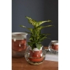 Davies-Planter-Terracotta-Roomshot1