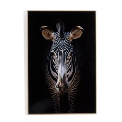Zebra-Stare-Art-Oak-Frame-Front1