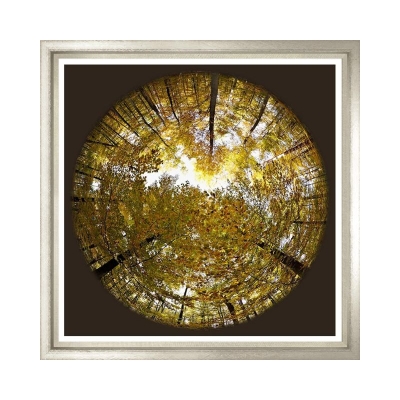 Forest-Canopy-III-Silver-frame-Front1