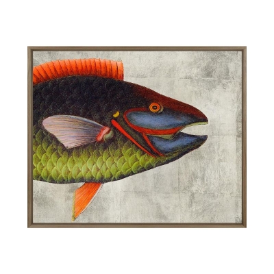 Parrot-Fish-Silver-Front1