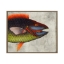 Parrot-Fish-Silver-Front1
