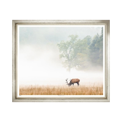 Grazing-Mountain-Elk-Artwork-Silver-Frame-Front1