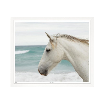 Horse-on-Beach-Wall-Art-White-Frame-Front1